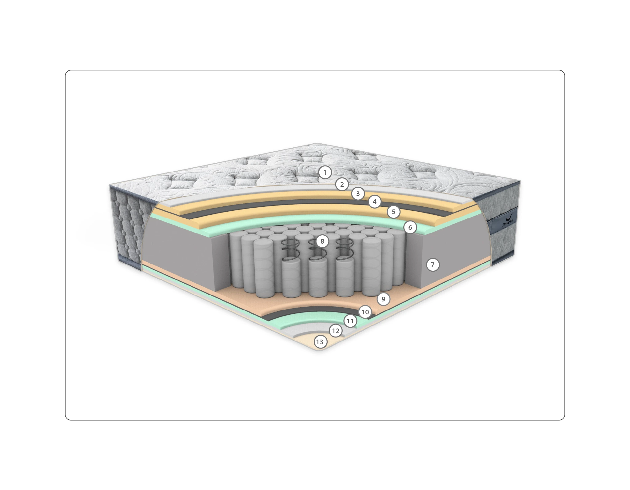 CHESTER 6